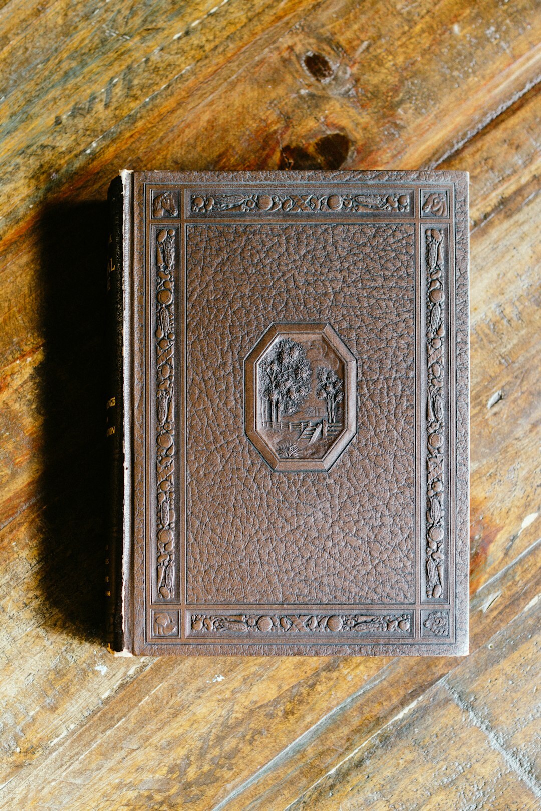 vintage mystery book