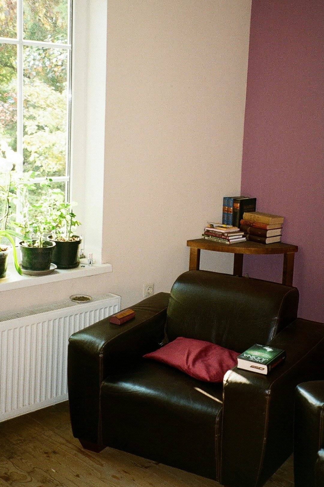 Cozy reading room with armchair, lamp and shelves of books