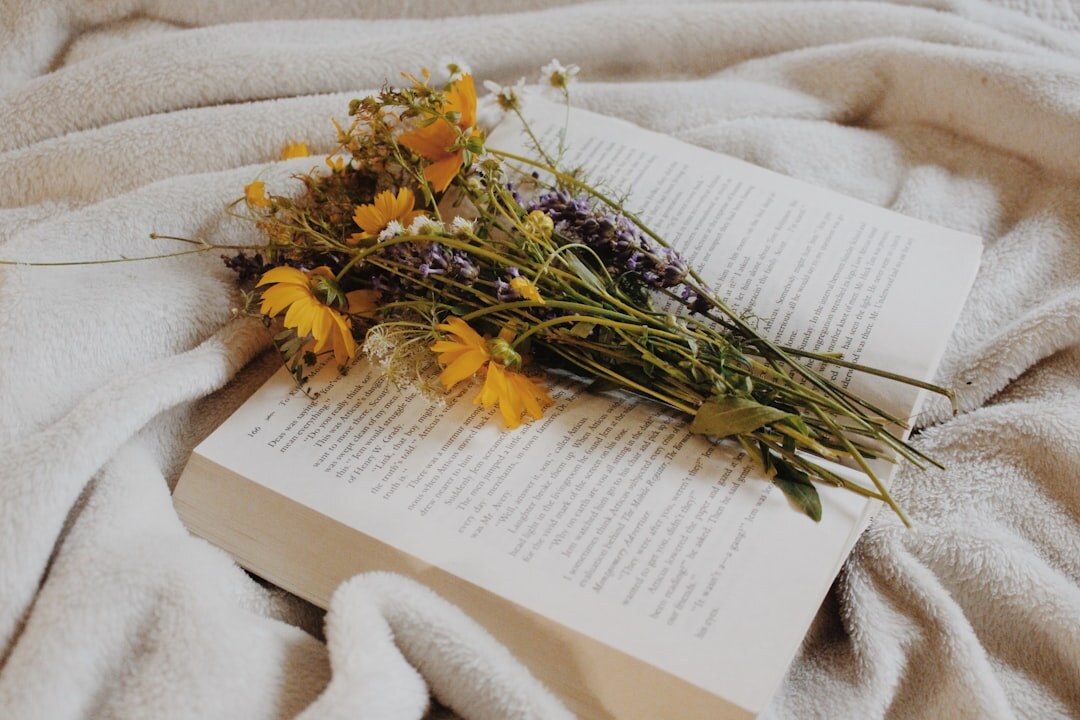 cozy reading nook